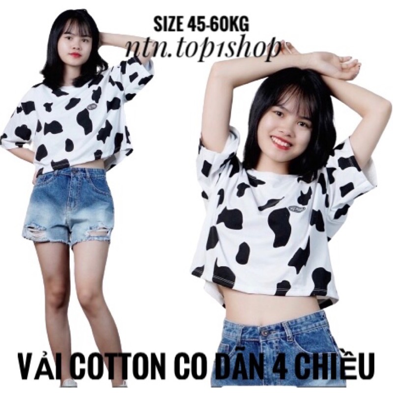 Áo bò Croptop tay ngắn 2 dạng (al).