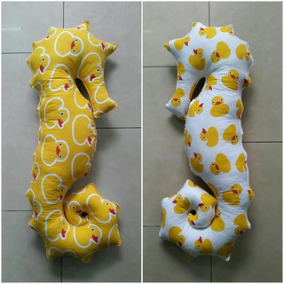 Sét 2 con cá ngựa