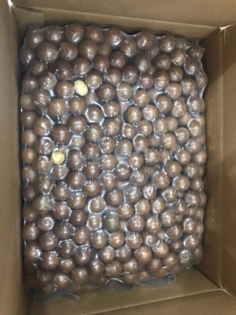 [Mã GROSALE2703 giảm 8% đơn 250K] Túi 500g Hạt Maccadamia Nuts date 2023