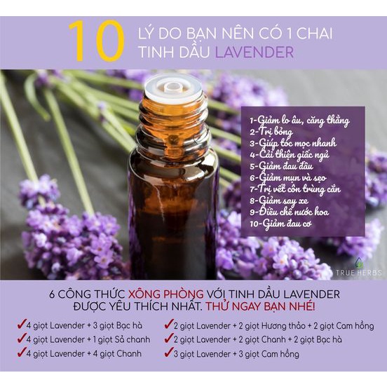 Tinh dầu Lavender (Oải hương)- Tinh dầu thiên nhiên hữu cơ nguyên chất nhập khẩu Mỹ | BigBuy360 - bigbuy360.vn