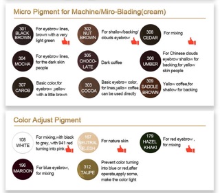 MỰC PHUN MÔI BIOMASOR ( mực hữu cơ an toàn )
