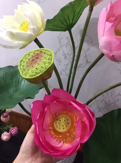 Hoa sen lụa siêu cao cấp(Ảnh thật)