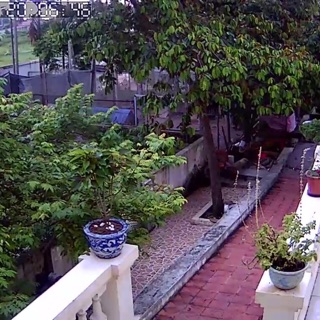 [ SIÊU SỐC]Camera YooSee HD720 - 3 Anten Siêu nét