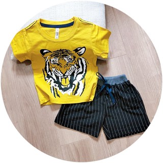 Sét 3 bộ bé trai cùng size