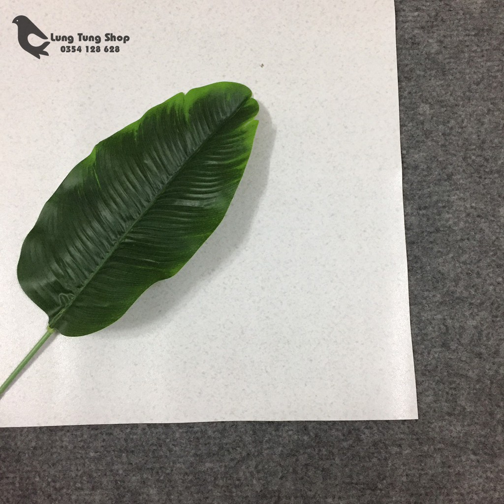 Phông nền chụp hình - Thảm nhựa chụp hình màu trắng nhám