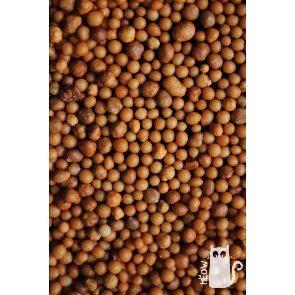 Phân tan chậm Osmocote  NPK 14-14-14 dành cho sen đá, xương rồng gói 50gr