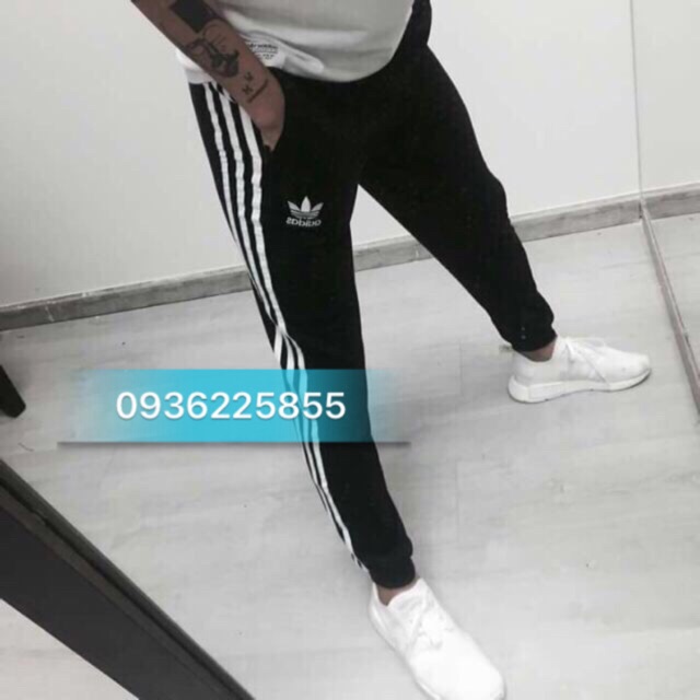 Quần Jogger Triple Line - Full tem tag (Bo Gấu- QN02)