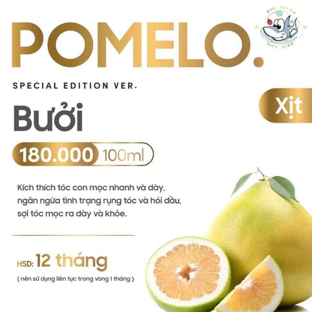 POMELO Hair Mist - Xịt Bưởi Kích Thích Mọc Tóc X2 (Handmade)