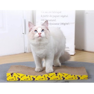 Bàn cào móng bằng giấy cho mèo kèm gói catnip
