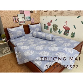 Chăn ga gối 100% coton kèm mền chần gòn 5 món như hình.