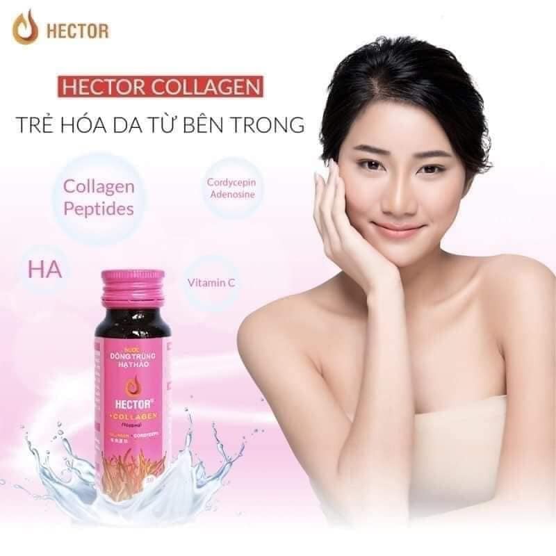 ĐÔNG TRÙNG HẠ THẢO COLLAGEN HECTOR
