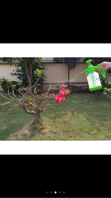 Bình xịt cao cấp Hàn Quốc 1,5 lít