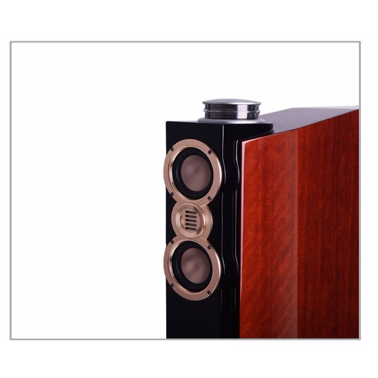 Loa Weeworld DX2 Cực Sang 5 Bass 25 Hàng chính hãng