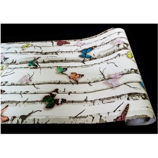 Decal giấy dán tường bướm sắc màu