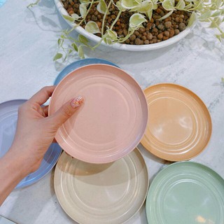 Sét 6 ĐĨA LÚA MẠCH SIÊU XINH🍀FREESHIP🍀 Chất Liệu Lúa Mạch An Toàn Cho Sức Khoẻ