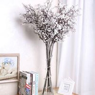 🍃 hoa gypsophila 🍃