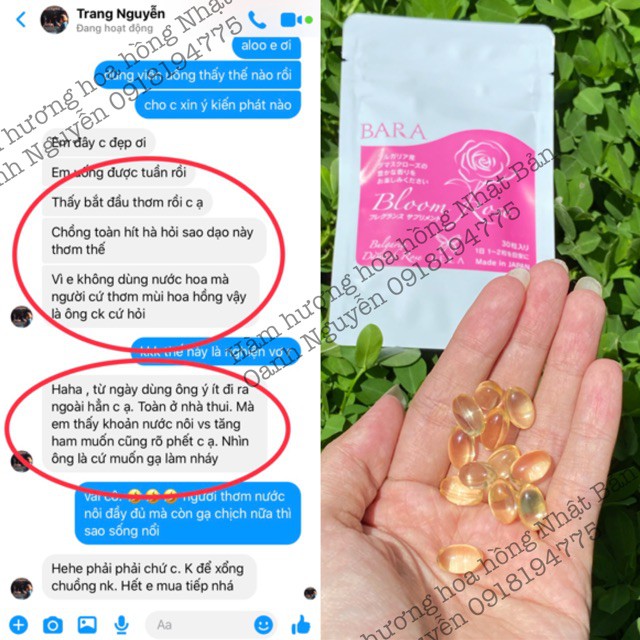 Viên hàm hương Bara Nhật-Tỏa hương tự thân callogen