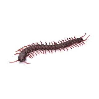 5 con rết giả dùng làm dụng cụ trang trí cho tiệc Giáng Sinh, Halloween shopee. vn|mochi04