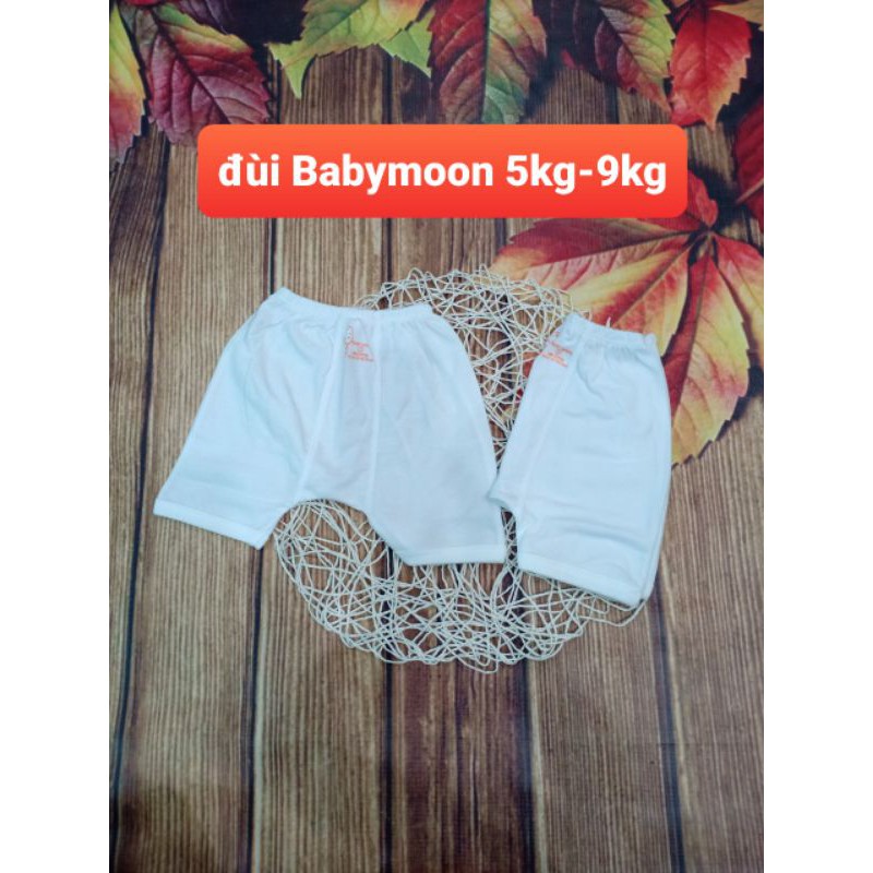 Set 5 quần đùi mặc bỉm màu trắng Baby Moon cho bé từ sơ sinh đến 9kg