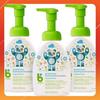 Nước Rửa Tay Khô Babyganics Dung Tích 250ml Cho Bé