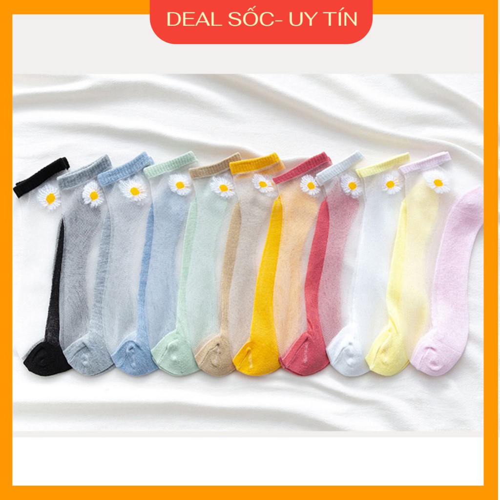 Lố 10 đôi Tất nữ ren kính trong suốt độc lạ mẫu mới