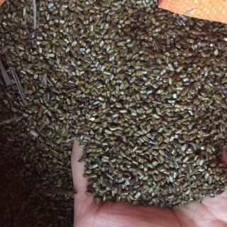 Hạt muồng muồng 40k