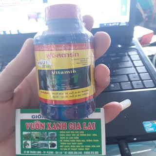 Phân bón lá VITAMIN B1 THÁI LAN 100ML