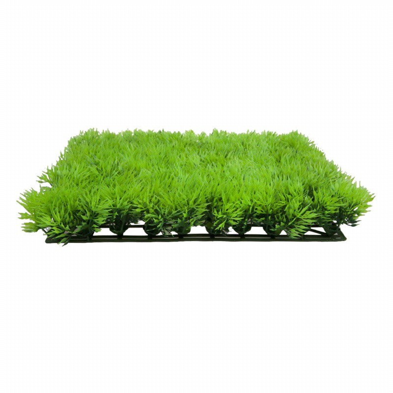 Thảm cỏ nhân tạo trang trí bể cá đẹp mắt