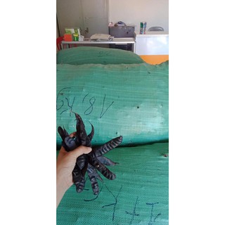 Bo ket Bồ kết 1kg