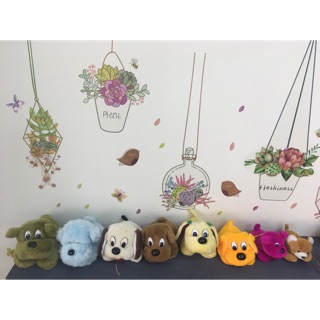 Set chó màu sắc