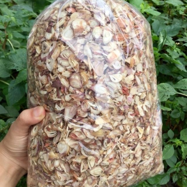 Sỉ hành sấy khô