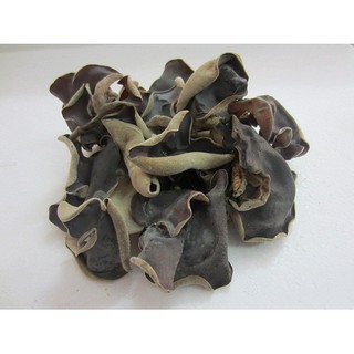 Nấm mèo (mộc nhĩ)