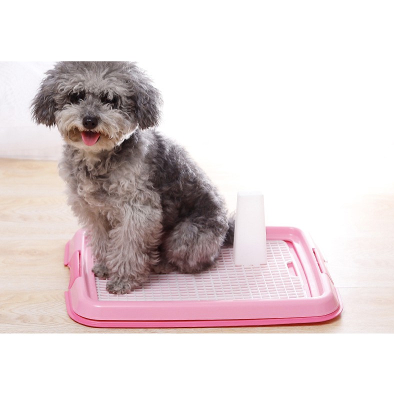 [Mã PET50K giảm Giảm 10% - Tối đa 50K đơn từ 250K] Khay vệ sinh cho chó có cọc, khay cho chó đực chó cái Con Mèo Xiêm