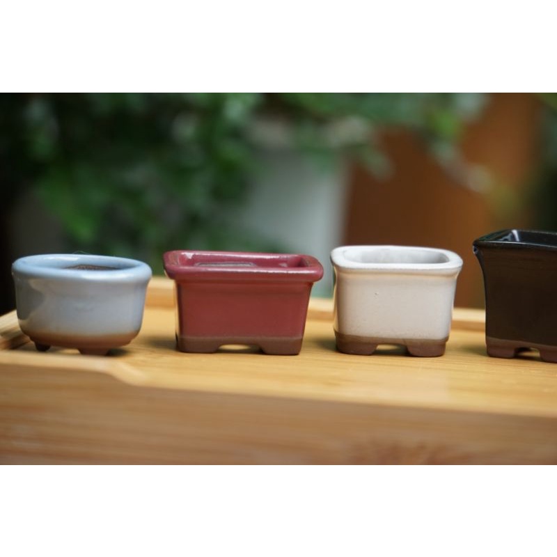 Chậu siêu mini buzan