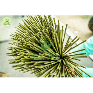 🌿Nhang Sạch Thảo Mộc 30cm (180 cây) KHÁNG KHUẨN
