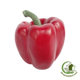 Trái ớt chuông đỏ - quả ớt đà lạt - Trái cây rau củ quả giả cao cấp