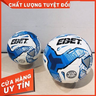 Quả bóng đá Động Lực may số 5 (nhiều màu)