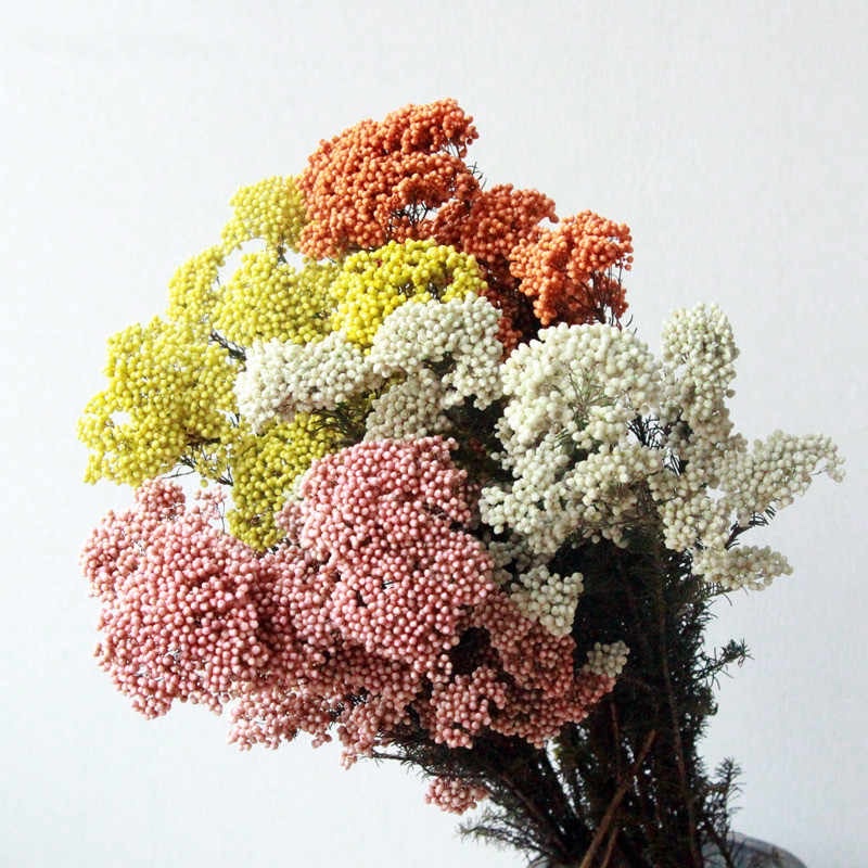 Hoa Gạo khô trAng trí nhà cửa ❤️ cắm hoa để bàn ❤️ làm tranh handmade, phụ kiện decor