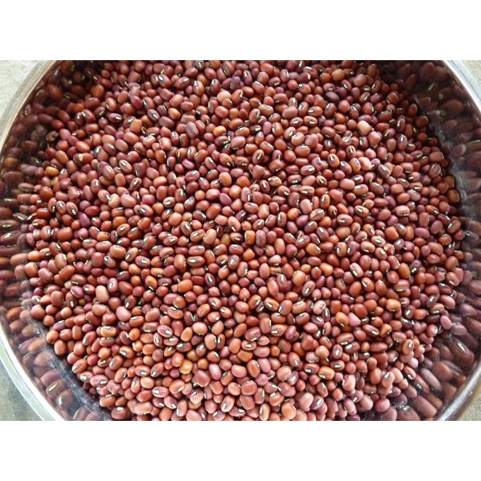 ĐẬu đỏ Quê hạt nhỏ