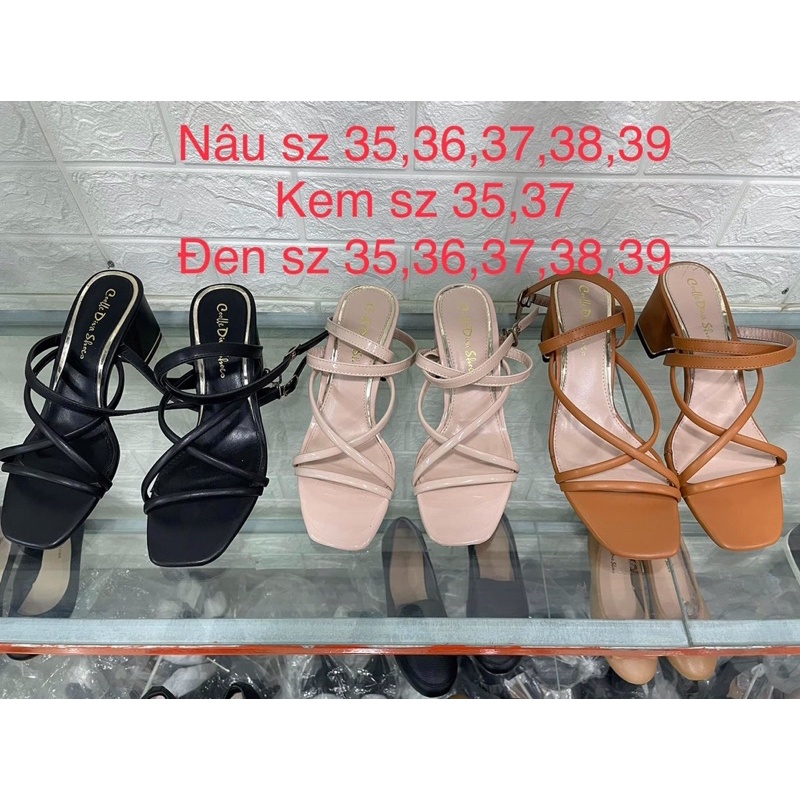 Sandal dây 5p