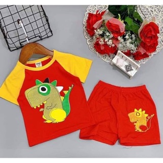 Bộ thun cotton bé trai size 8-22kg
