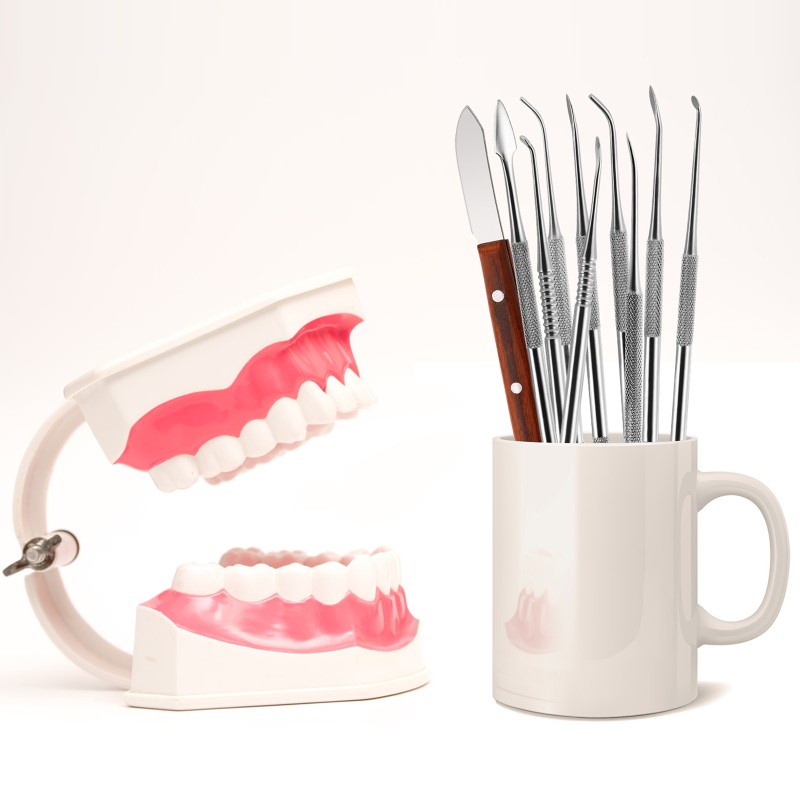 [Hàng mới về] Set 10 dụng cụ vệ sinh nha khoa bằng thép không gỉ chất lượng cao tiện dụng