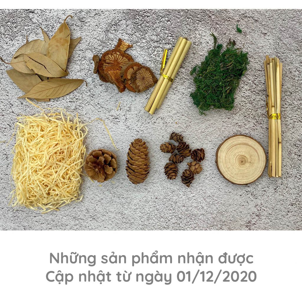 Set đồ khô chụp ảnh sản phẩm (Set số 04)