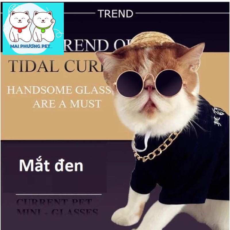 HN - Mắt Kính chó mèo gọng vàng kính mát cho thú cưng chống tia UV (One size)