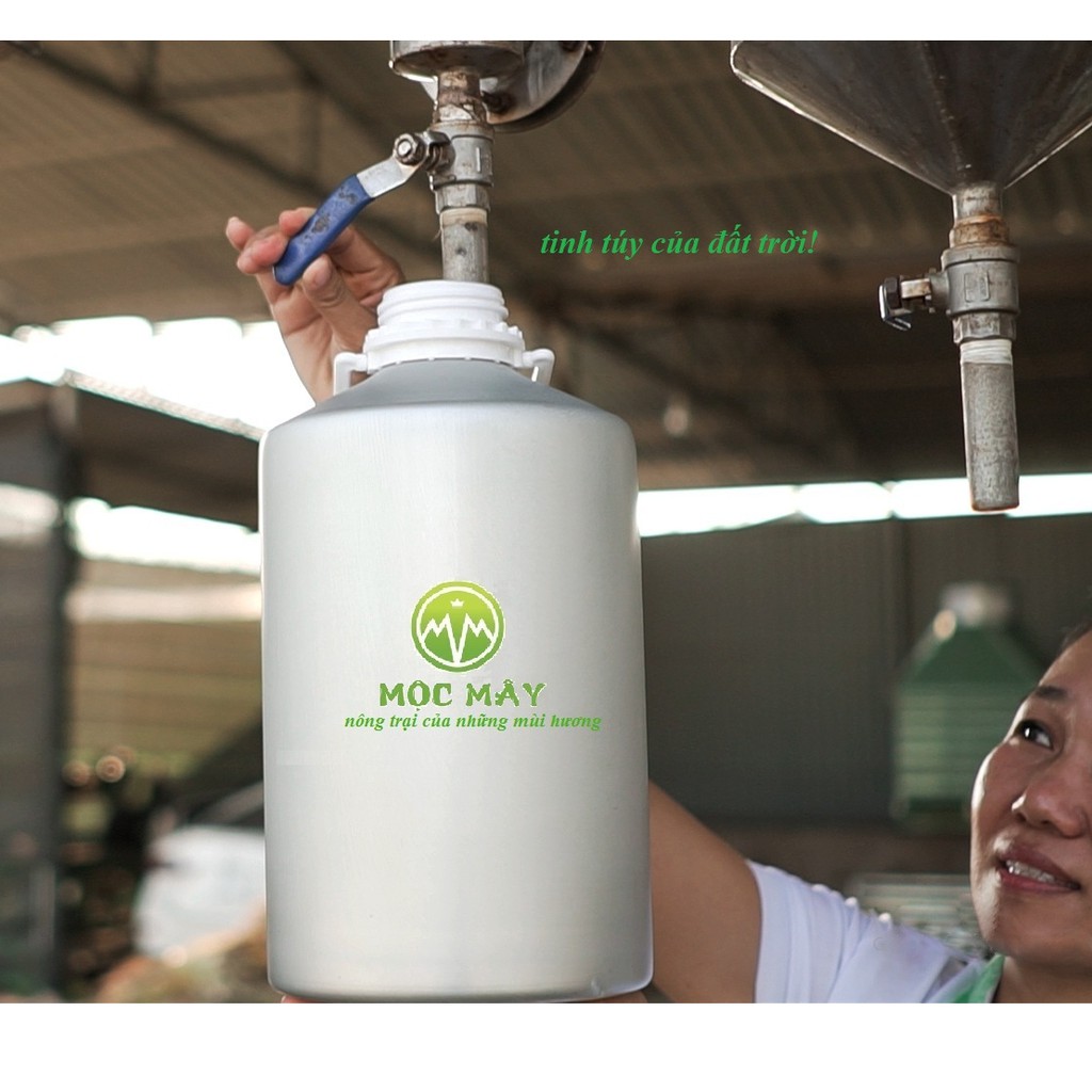 Tinh dầu Hoa Hồng Mộc Mây 10ml nguyên chất từ thiên nhiên, xông phòng, thơm phòng, thư giản, đuổi muỗi, giảm stress...