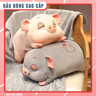Gấu bông heo mắt híp 45cm - Đổi trả miễn phí