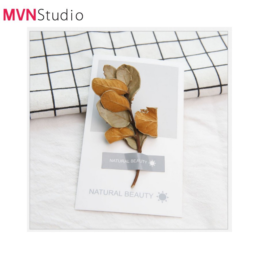 MVN Studio - 7 mẫu thiệp cây, hoa, lá khô phụ kiện trang trí đạo cụ chụp ảnh