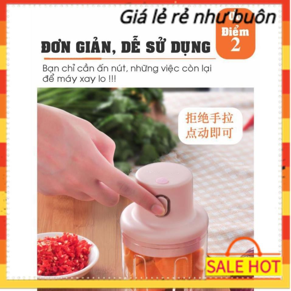 Máy xay đa năng mini cầm tay xay thịt gia vị tỏi ớt rau củ kèm dây sạc dung tích 250ml