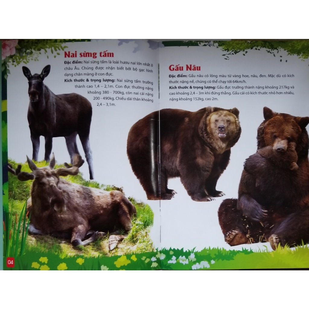 Sách- Khám Phá Động Vật 5 Châu- Châu Âu