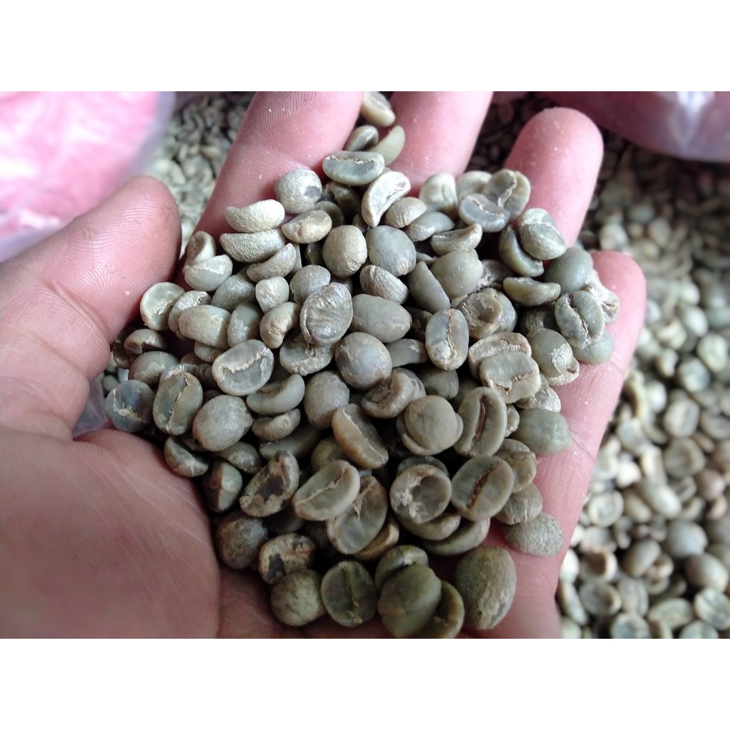 500gr Cà phê Arabica Cầu Đất - Cafe hạt Moka thượng hạng rang Mộc